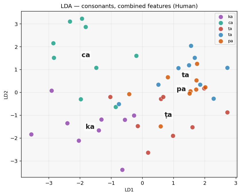 LDA consonant