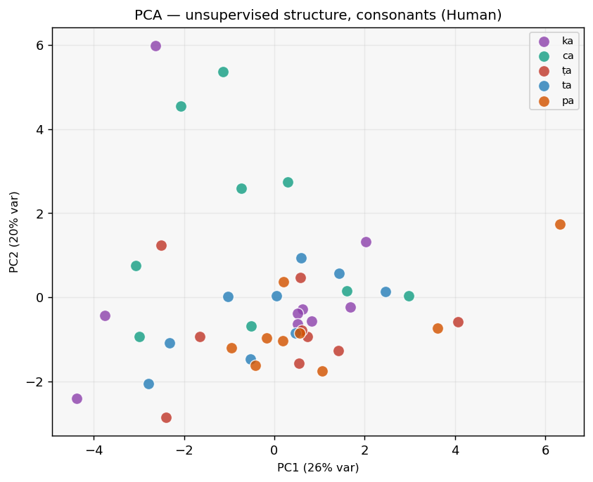 PCA consonant