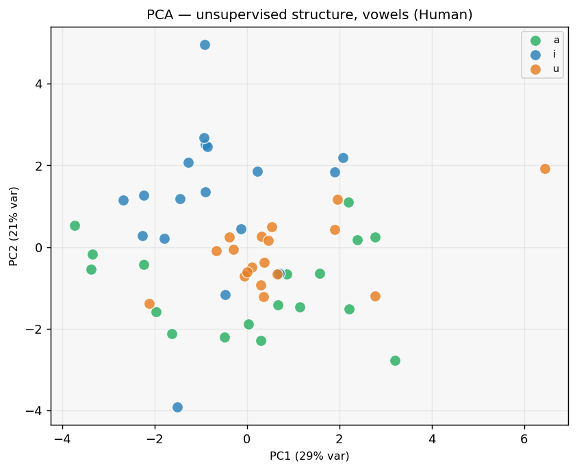 PCA vowel
