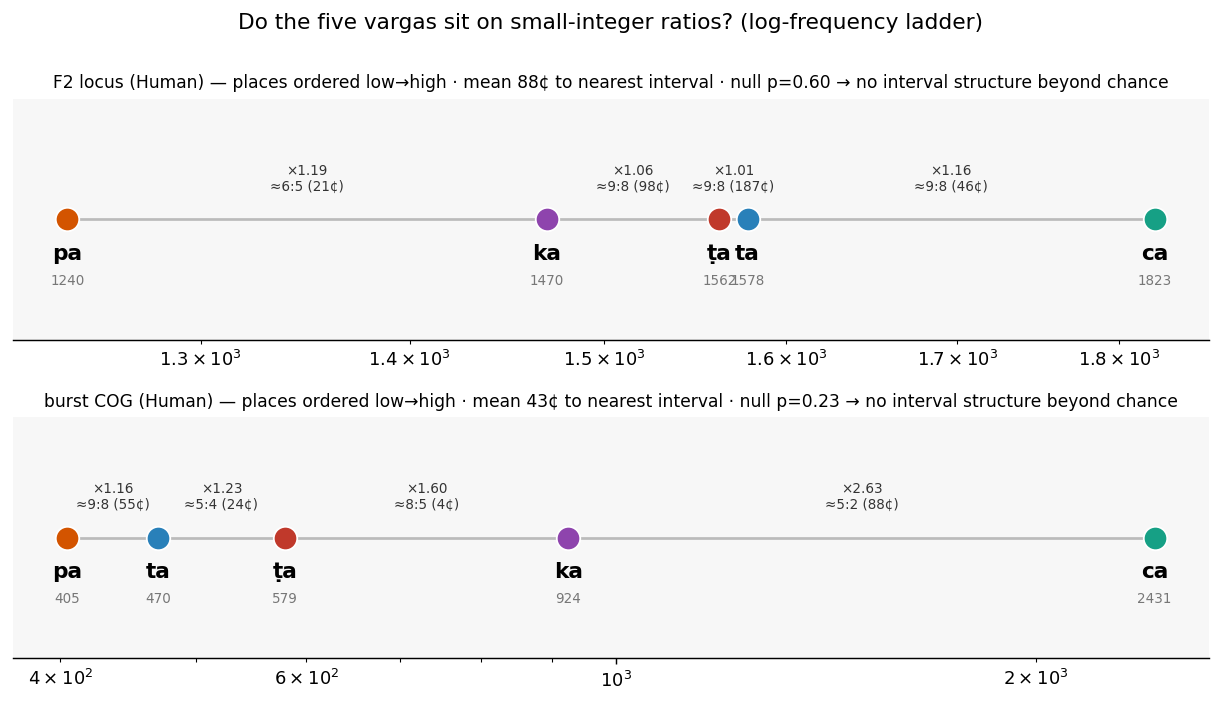 varga ladder