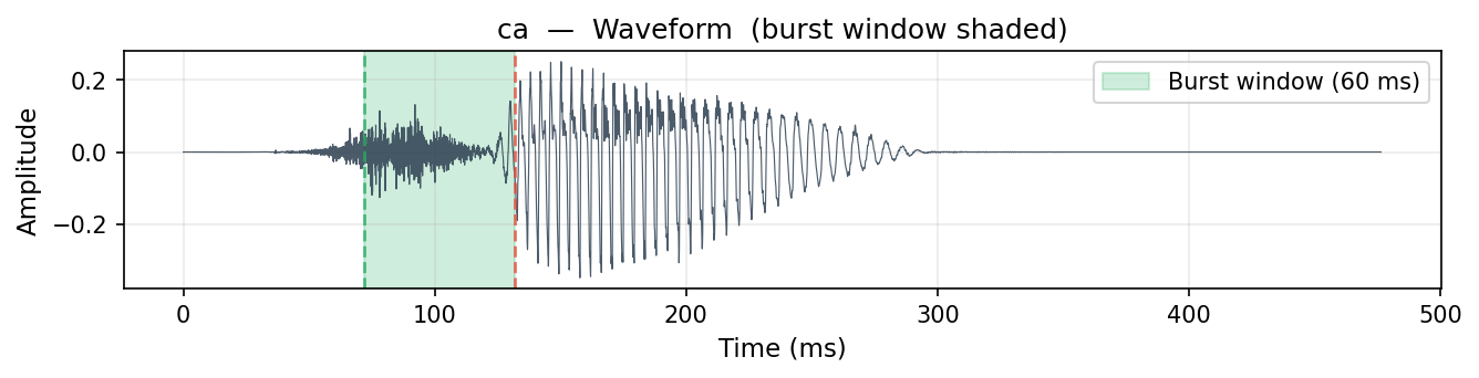 ca waveform